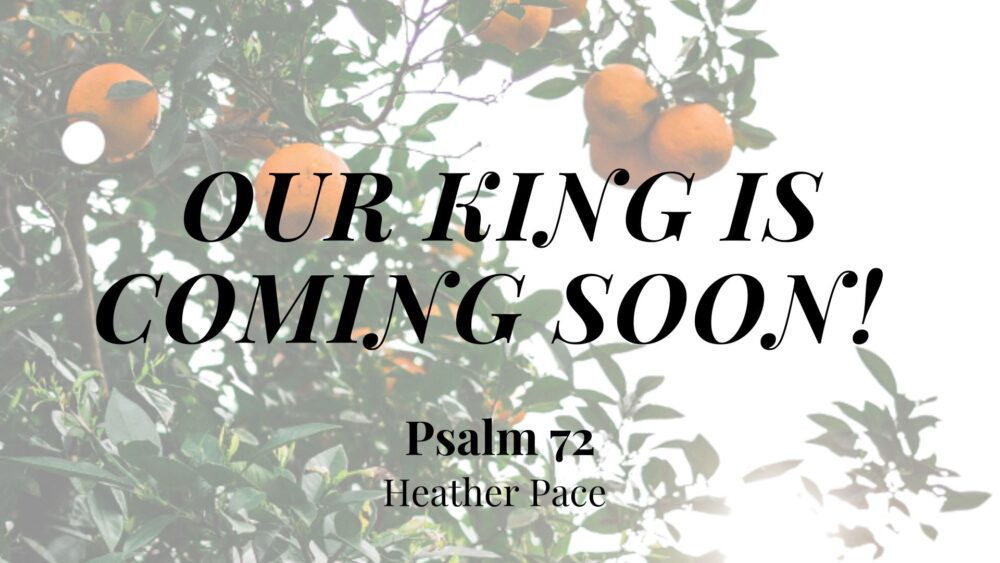 Our King is Coming Soon! (Psalm 72) Image