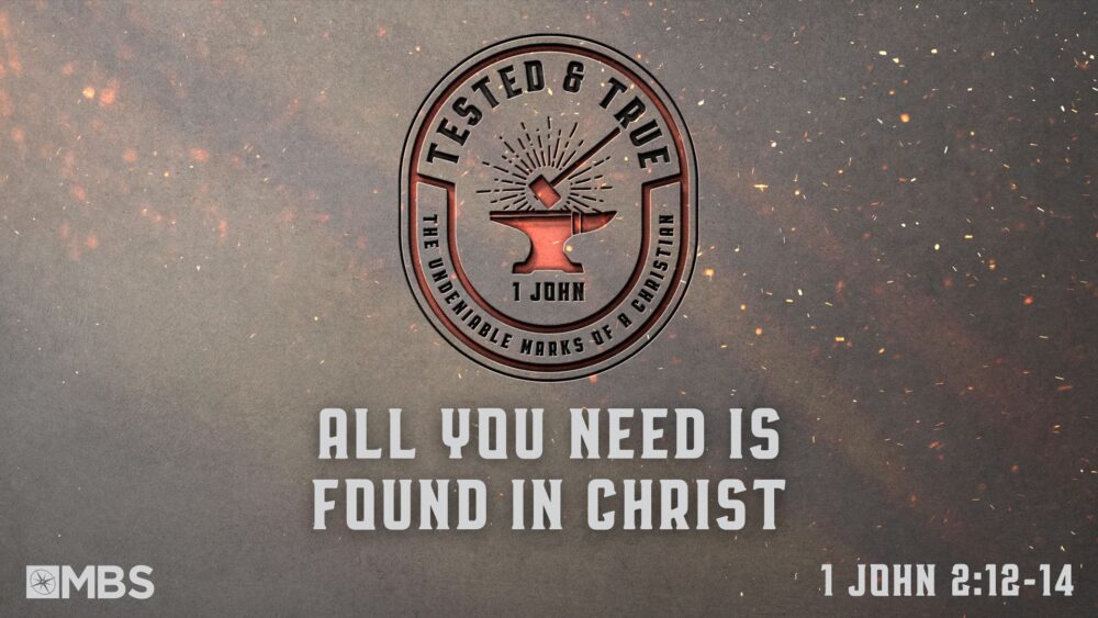 All You Need is Found in Christ (1 John 2:12-14) Image