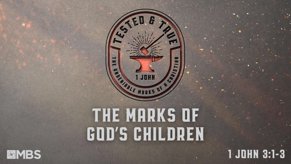 The Marks of God's Children (1 John 2:28-29) Image